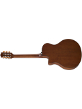 NTX500 (Brown Sunburst), зображення 2