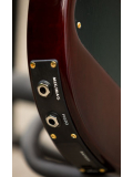 P24 LIMITED 10TOP (BLACK GOLD BURST), зображення 5