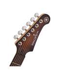PACIFICA 212V QM (Tobacco Brown Sunburst), зображення 5