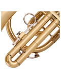 TCC-53/L Cornet Bb, зображення 3