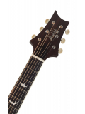SE P20 (Tobacco Sunburst), зображення 4