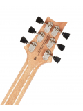 SE Paul's Guitar (Faded Blue Burst), зображення 6