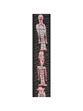 PW50JS08 Joe Satriani Guitar Strap Creatures, зображення 2