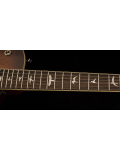 SE 245 Standard (Tobacco Sunburst), зображення 5