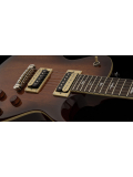 SE 245 Standard (Tobacco Sunburst), зображення 3
