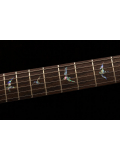 SE 35th ANNIVERSARY CUSTOM 24 (Black Gold Burst), зображення 5