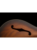 SE Hollowbody Standard (McCarty Tobacco Sunburst), зображення 11