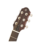 SLG200S (Tobacco Brown Sunburst), зображення 5