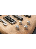Streamer LX, 5 String (Natural OF), зображення 4