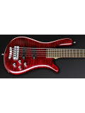 Streamer LX, 5 String (Burgundy Red OF), зображення 3