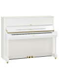 U1 (Polished White), зображення 1