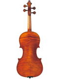BRAVIOL V20SG 4/4, зображення 2