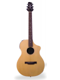 Variax Acoustic 300 Steel, зображення 1