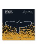 Signature David Grissom Guitar Strings 11-49, зображення 1