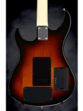 VARIAX STANDARD (Sunburst), зображення 6