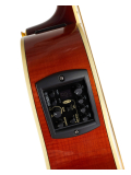 APX1000 (Crimson Red Burst), зображення 3