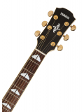 APX1000 (Crimson Red Burst), зображення 4