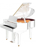 C1 (Polished White), зображення 1
