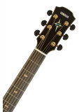 CPX1200 II (Translucent Black), зображення 5