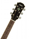 CPX700 II (Sand Burst), зображення 3