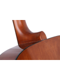 F310 (Tabacco Brown Sunburst), зображення 4