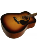 F310 (Tabacco Brown Sunburst), зображення 2