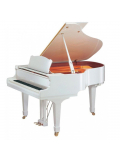 GC1 (Polished White), зображення 1