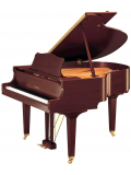 GC1 (Polished Mahogany), зображення 1