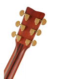 LL6 ARE, зображення 6