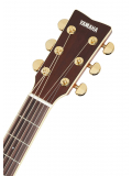 LLX6A (Tobacco Brown Sunburst), зображення 5