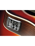 LLX6A (Tobacco Brown Sunburst), зображення 3