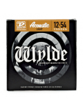 ZWP1254 ZAKK WYLDE ACOUSTIC LIGHT (12-54), зображення 1 | JAM ZWP1254 ZAKK WYLDE ACOUSTIC LIGHT (12-54), зображення 1