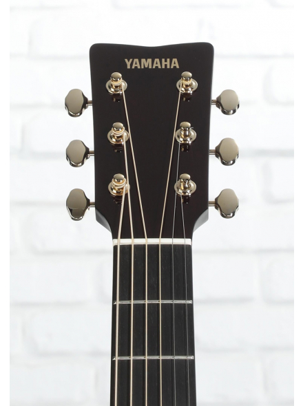 TAG3 C TransAcoustic (Sand Burst), зображення 9