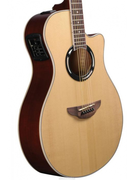 APX500 (NT), зображення 2