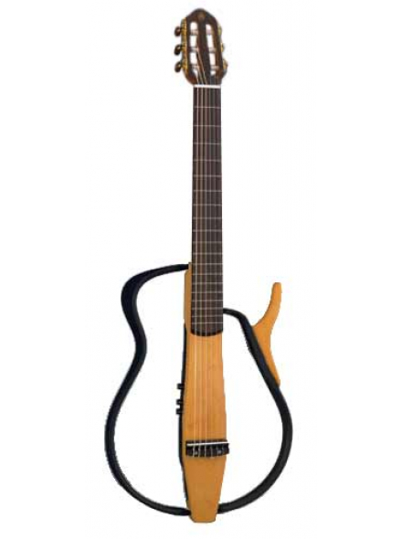 SLG100NH, зображення 1