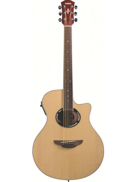 APX500 (NT), зображення 1