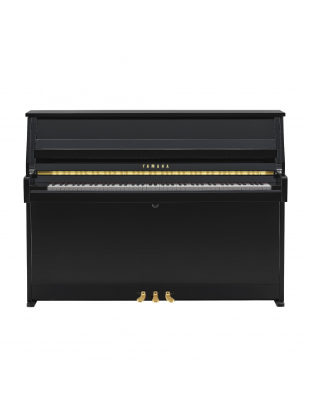 B10 (Polished Ebony), зображення 2