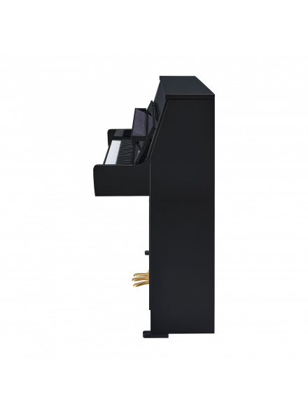 B10 SC3 (Polished Ebony), зображення 3