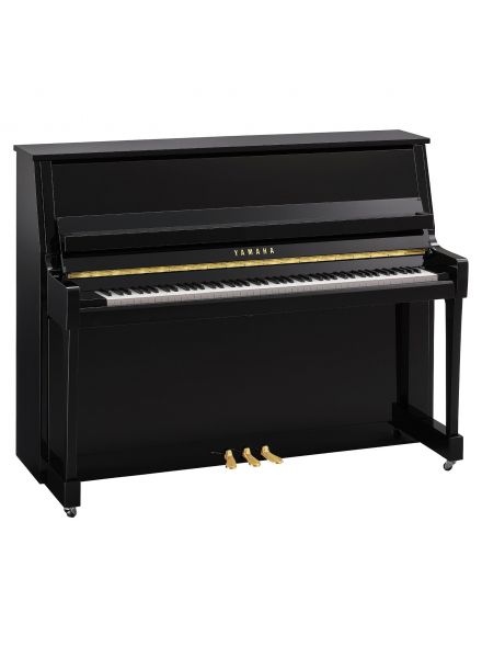 B20 (Polished Ebony), зображення 1