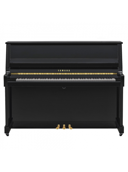 B20 (Polished Ebony), зображення 2