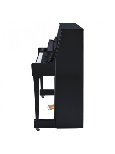 B20 (Polished Ebony), зображення 3