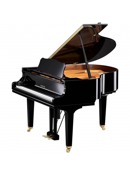 DGCB DISKLAVIER ENSPIRE ST (Polished Ebony), зображення 1