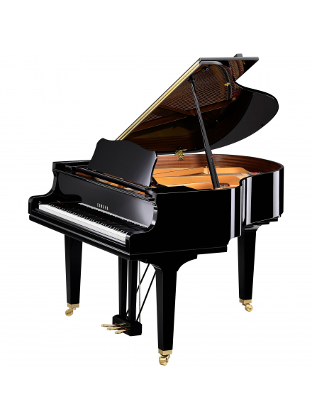 GCB (Polished Ebony), зображення 1