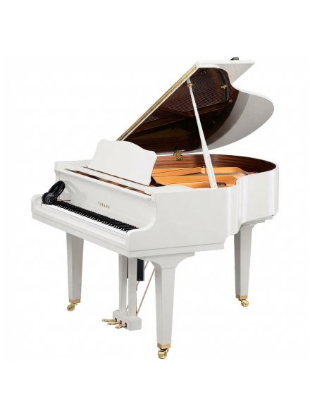 Yamaha DGCB DISKLAVIER ENSPIRE ST (Polished White), зображення 1