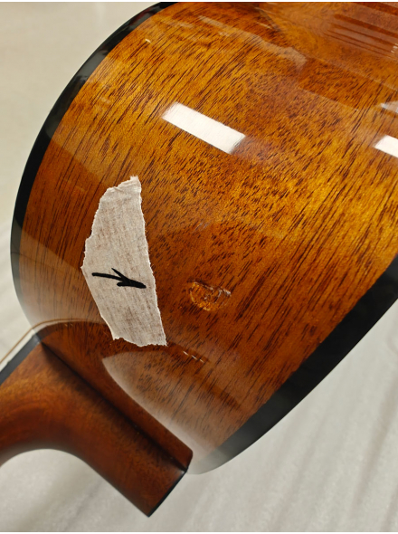 FS800 (Natural), зображення 2