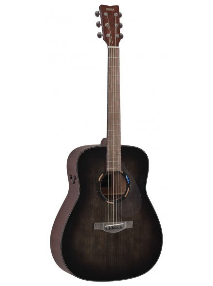TAG1 E TransAcoustic (Translucent Black), зображення 1