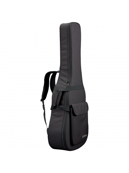 TAS1E TransAcoustic (Sand Burst), зображення 5