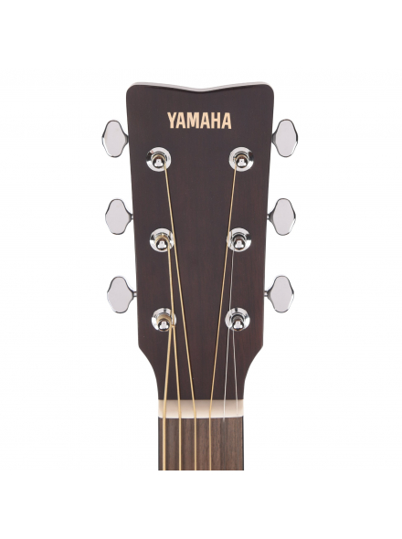 TAS1C TransAcoustic (Sand Burst), зображення 8
