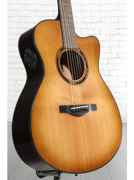 TAS1C TransAcoustic (Sand Burst), зображення 3