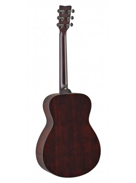 TAS1E TransAcoustic (Sand Burst), зображення 2